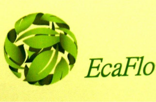 ECAFLO logo