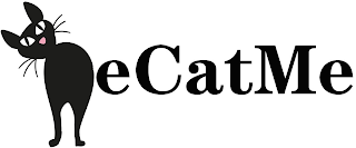 ECATME logo