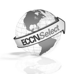 ECCNSELECT logo