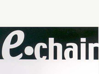 E·CHAIR logo