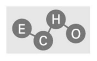 ECHO logo