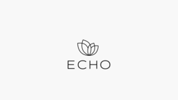 ECHO logo