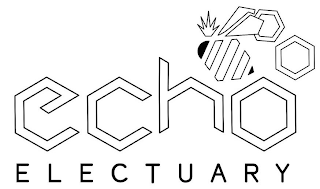 ECHO ELECTUARY logo