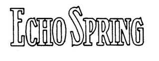 ECHO SPRING logo