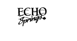 ECHO SPRINGS logo