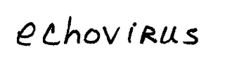 ECHOVIRUS logo