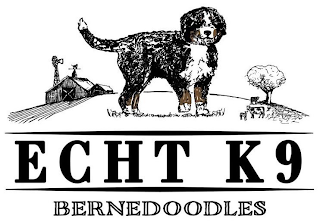 ECHT K9 BERNEDOODLES logo