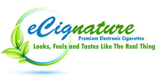 ECIGNATURE PREMIUM ELECTRONIC CIGARETTES LOOKS, FEELS AND TASTES LIKE THE REAL THING logo