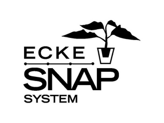 ECKE SNAP SYSTEM logo