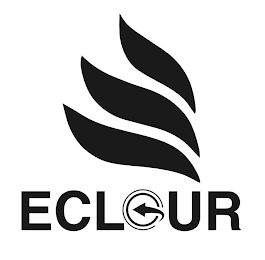ECLOUR logo