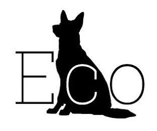 ECO logo
