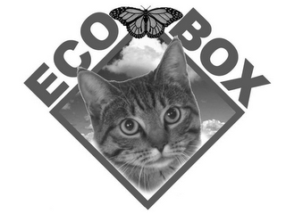 ECO BOX logo