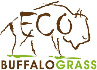 ECO BUFFALOGRASS logo