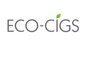 ECO-CIGS logo