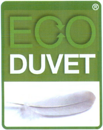 ECO DUVET logo
