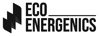 ECO ENERGENICS logo