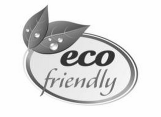 ECO FRIENDLY logo