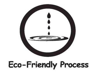 ECO-FRIENDLY PROCESS logo
