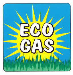 ECO GAS