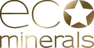 ECO MINERALS logo
