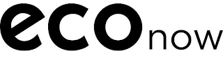 ECO NOW logo