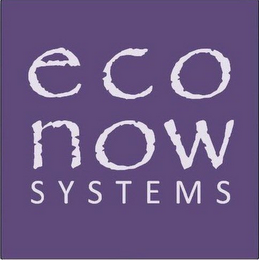 ECO NOW SYSTEMS logo