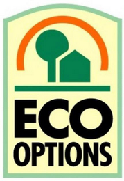 ECO OPTIONS logo
