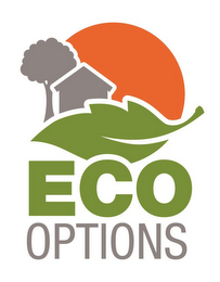 ECO OPTIONS logo