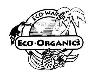 ECO-ORGANICS ECO-WATER logo