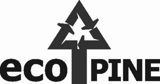 ECO PINE logo