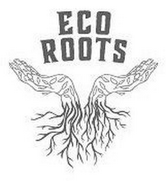 ECO ROOTS logo