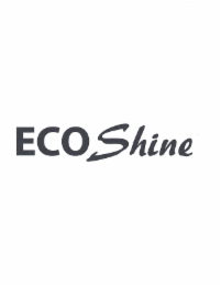 ECO SHINE logo