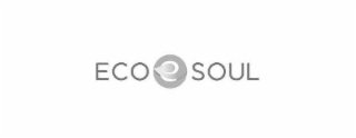 ECO SOUL logo