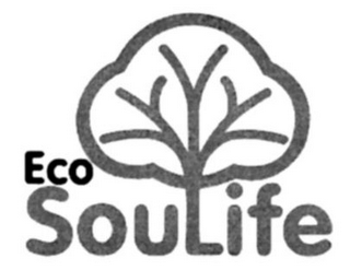 ECO SOULIFE logo