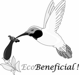ECOBENEFICIAL! logo