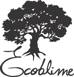 ECOBLIME logo