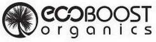 ECOBOOST ORGANICS logo