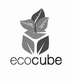 ECOCUBE logo