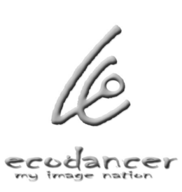ECODANCER MY IMAGE NATION logo