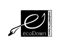 ECODOWN HYPO-ALLERGENIC logo