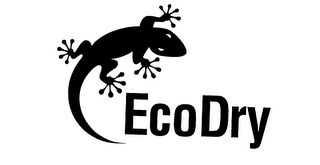 ECODRY logo