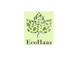 ECOHAAZ logo