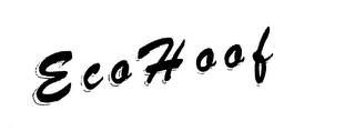 ECOHOOF logo