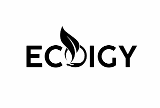 ECOIGY logo