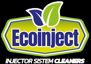 ECOINJECT INJECTOR SISTEM CLEANERS logo