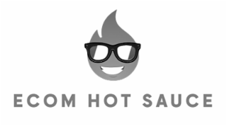 ECOM HOT SAUCE logo