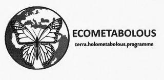 ECOMETABOLOUS TERRA.HOLOMETABOLOUS.PROGRAMME logo