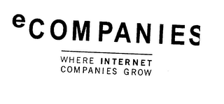 ECOMPANIES WHERE INTERNET COMPANIES GROW logo