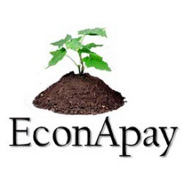 ECONAPAY logo