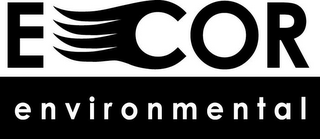 ECOR ENVIRONMENTAL logo